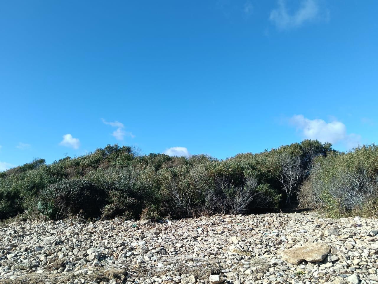 Hammam El Ghezaz&nbsp;Ezzahra&nbsp;Vente&nbsp;Autre&nbsp;Investissez au bord de la mer � hammam el ghzez