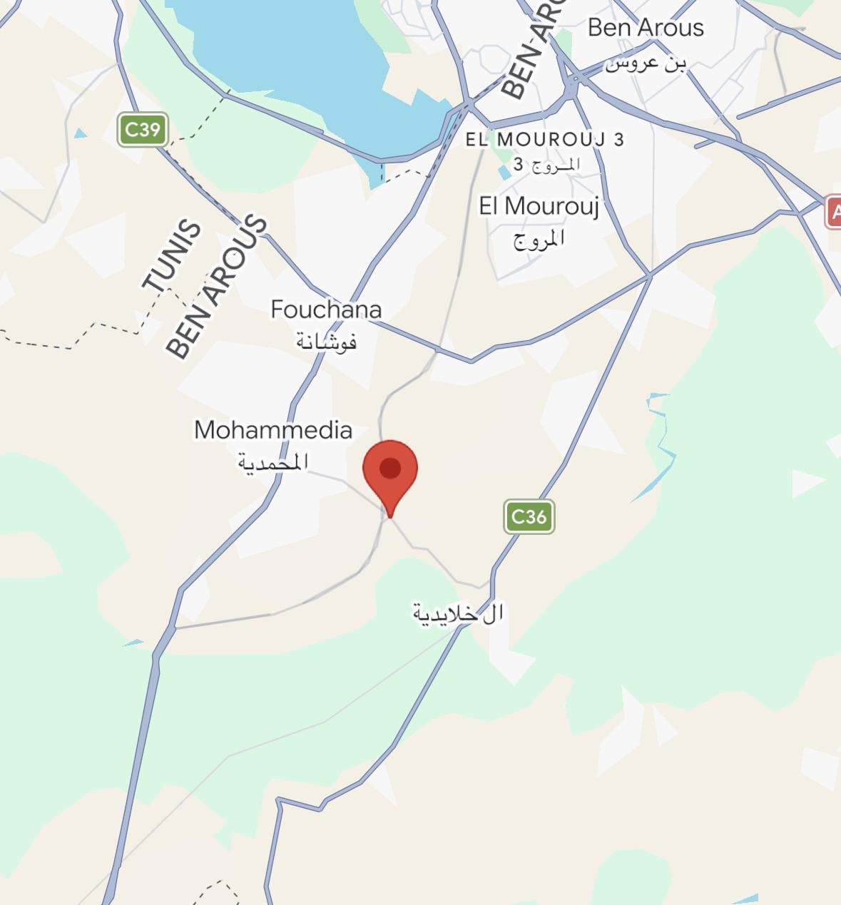 Mohamadia&nbsp;Mohamadia&nbsp;Terrain&nbsp;Terrain nu&nbsp;Terrain industriel � mhamdia