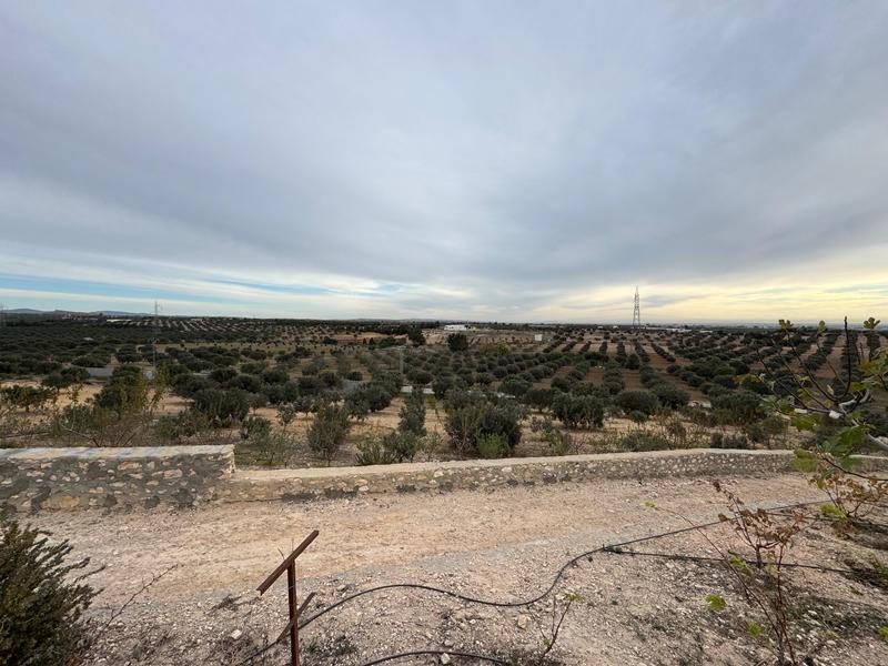 Hammamet&nbsp;Hammamet&nbsp;Vente&nbsp;Appart. 4 pi�ces&nbsp;Ferme agrume r�f v3004