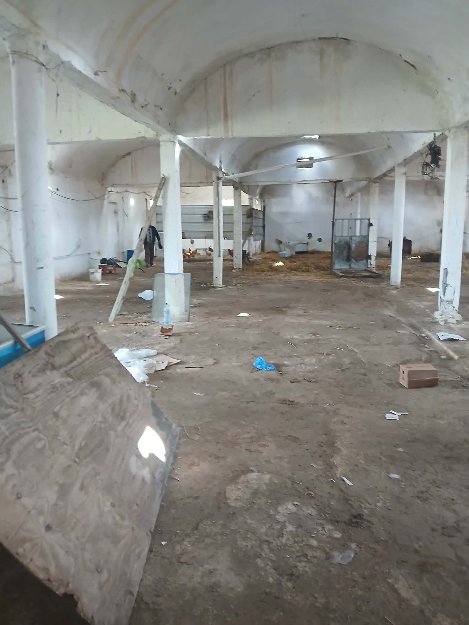 Grombalia&nbsp;Fondouk Jedid&nbsp;Terrain&nbsp;Terrain agricole&nbsp;Particulier vend