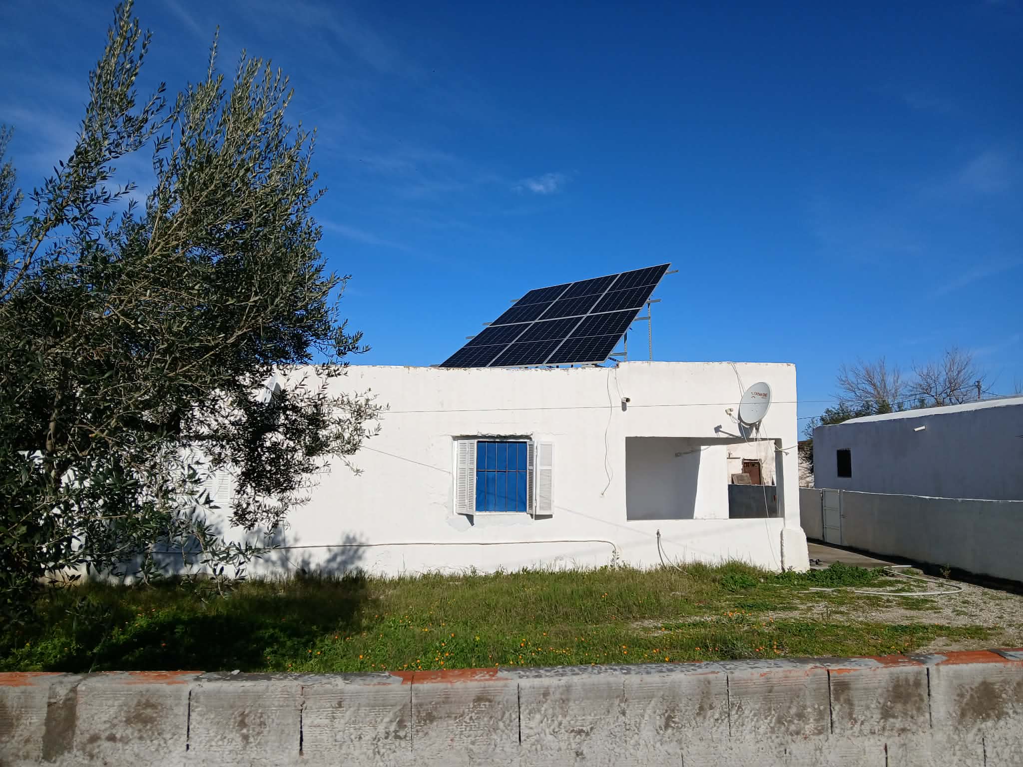 Grombalia&nbsp;Fondouk Jedid&nbsp;Terrain&nbsp;Terrain agricole&nbsp;Particulier vend