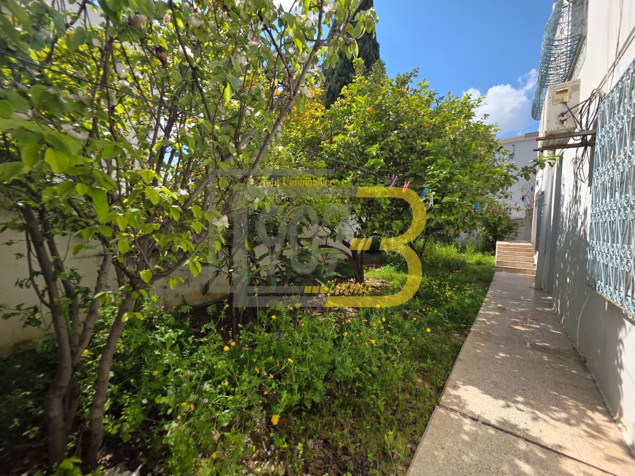 Ariana Ville&nbsp;El Menzah 6&nbsp;Vente&nbsp;Maisons&nbsp;Villa � fort potentiel � el menzah 6