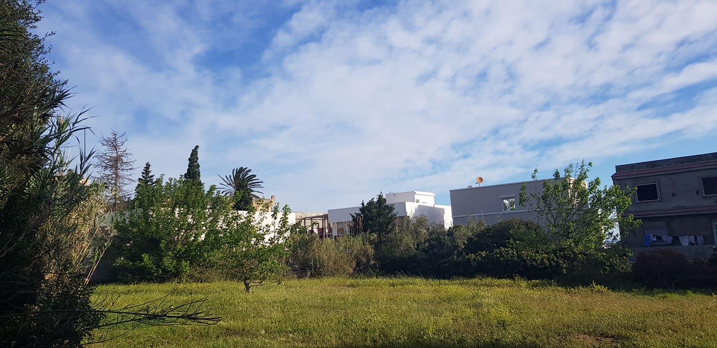 Vente Maisons - Tunisie