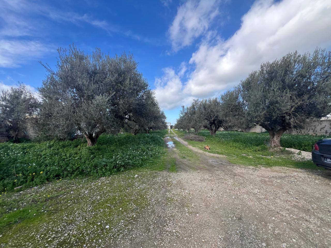 Vente&nbsp;Maisons - Tunisie