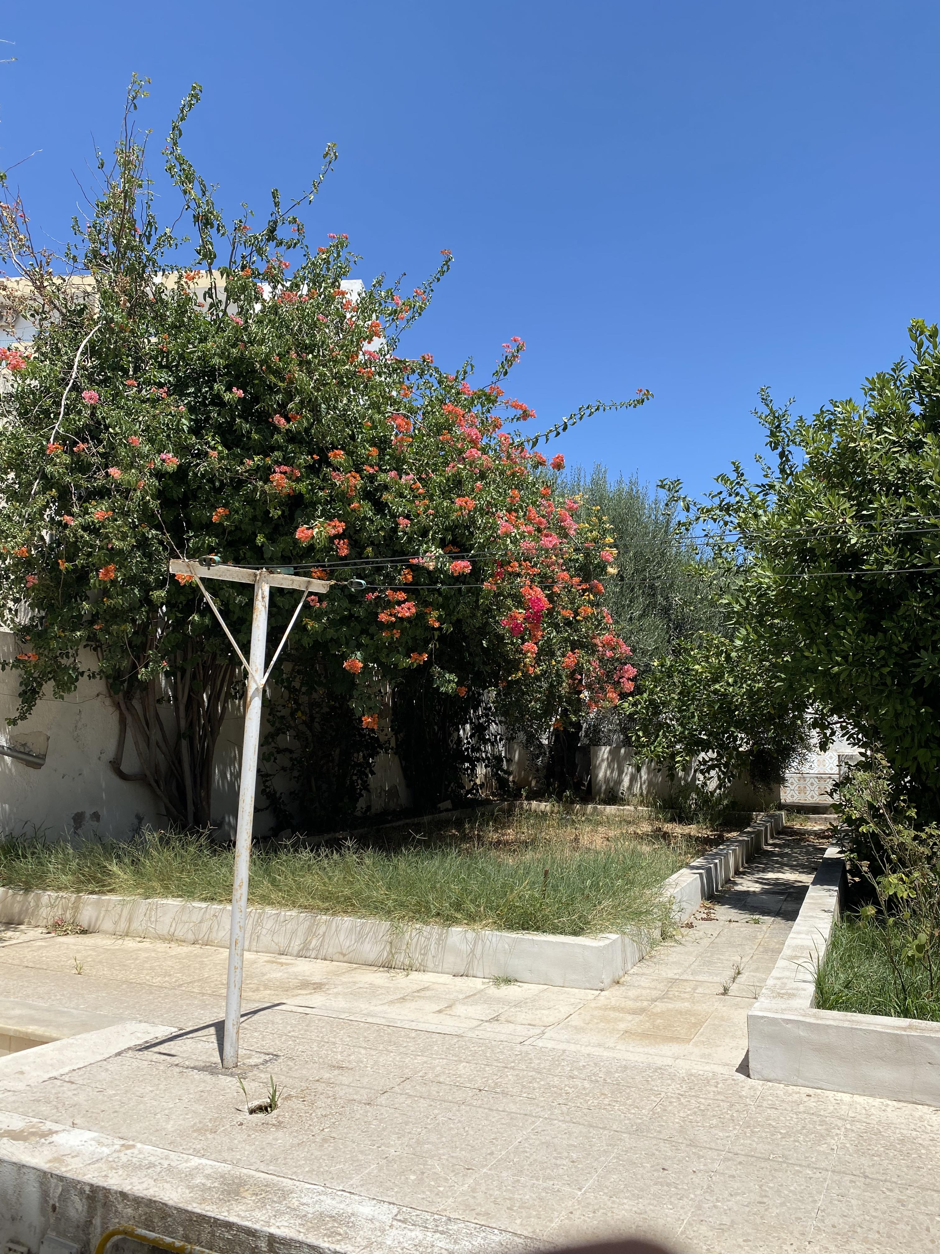 Le Bardo&nbsp;Le Bardo&nbsp;Vente&nbsp;Maisons&nbsp;Particulier vend deux villas en excellent etat