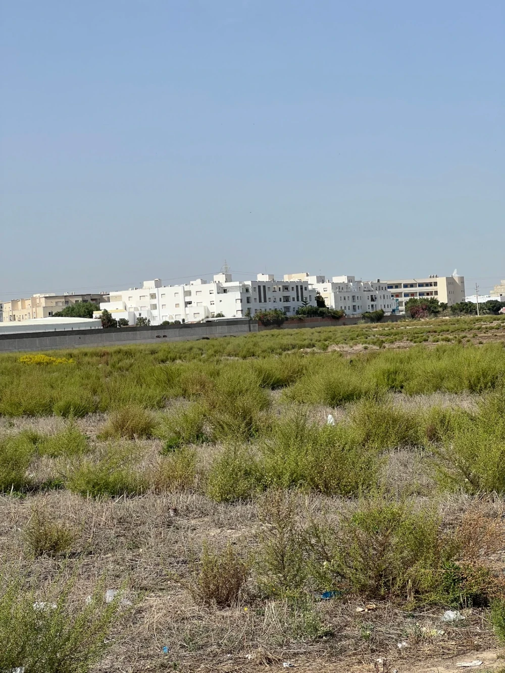La Marsa&nbsp;Sidi Daoud&nbsp;Terrain&nbsp;Terrain nu&nbsp;Un terrain de 800 m�tre carr� foncier urbaine