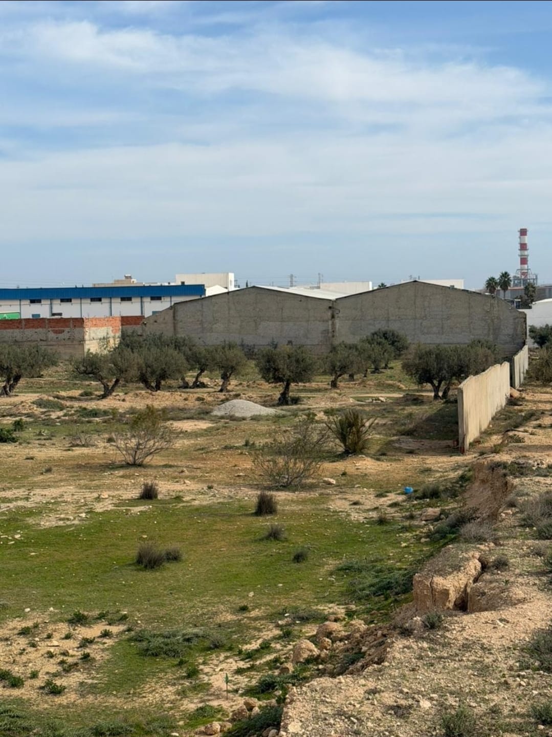 Sousse Jaouhara&nbsp;Cite Sidi Abdelhamid&nbsp;Vente&nbsp;Maisons&nbsp;Terrain constructible sousse  30000 m