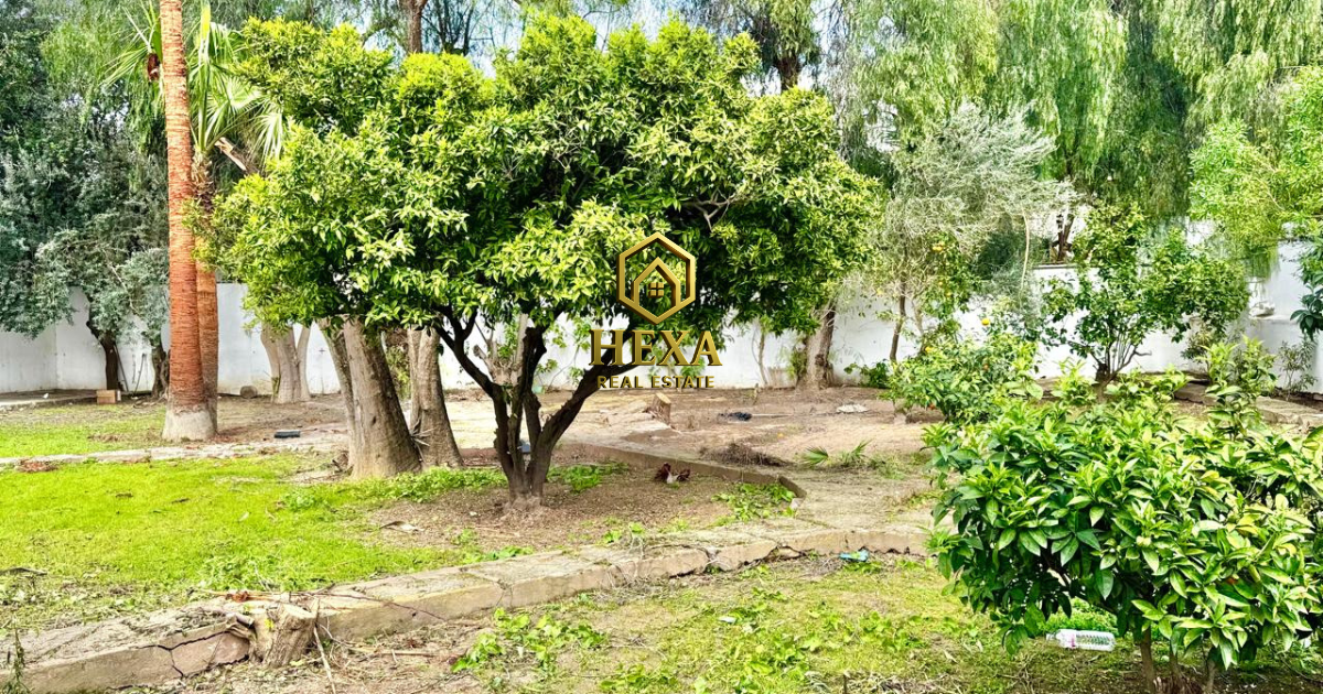 La Marsa&nbsp;Marsa Ennassim&nbsp;Location&nbsp;Maisons&nbsp;Villa s4 � la marsa plage avec jardin et terrasse