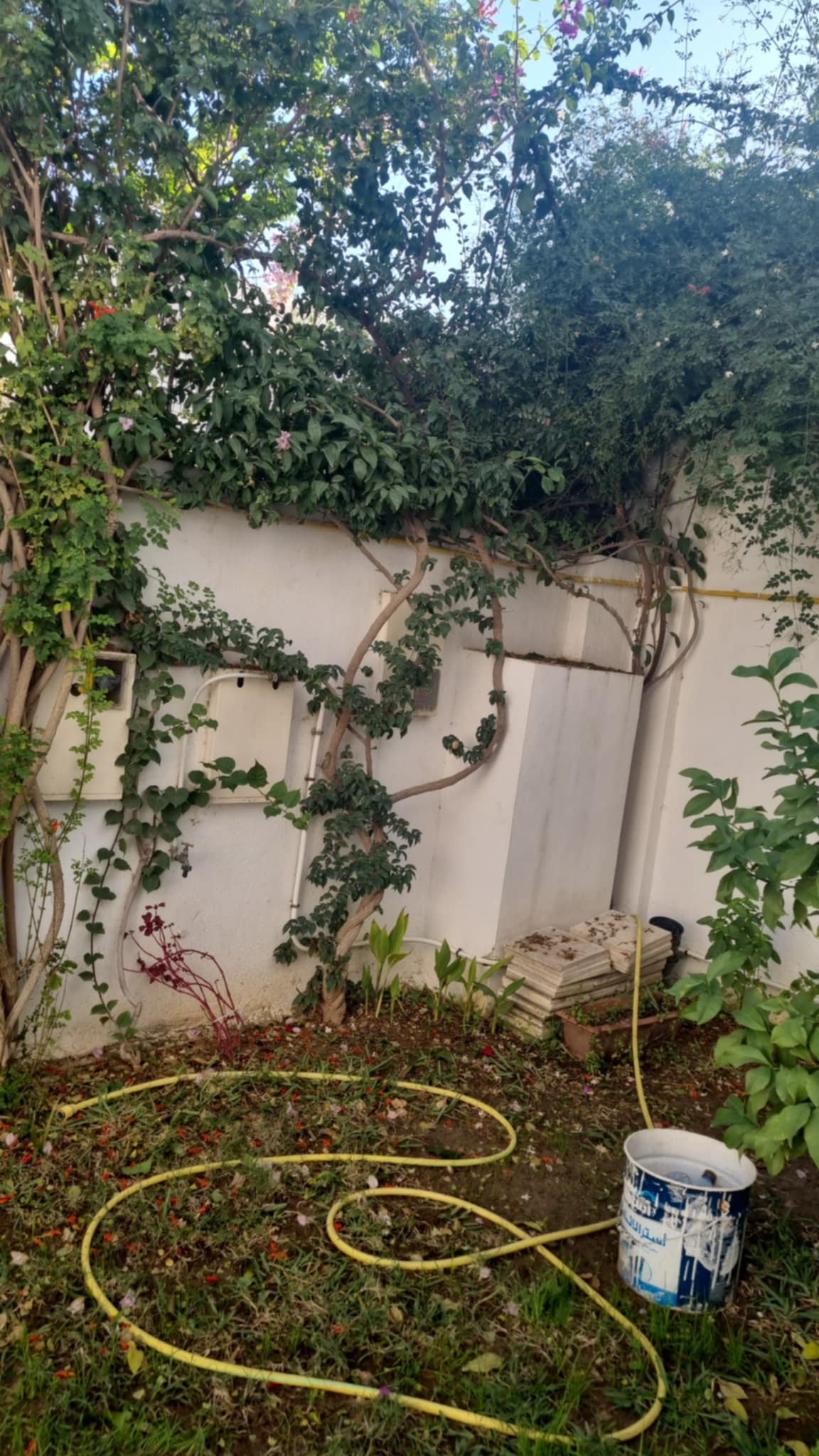 La Soukra&nbsp;Dar Fadhal&nbsp;Vente&nbsp;Duplex&nbsp;Duplex dar fadhal soukra