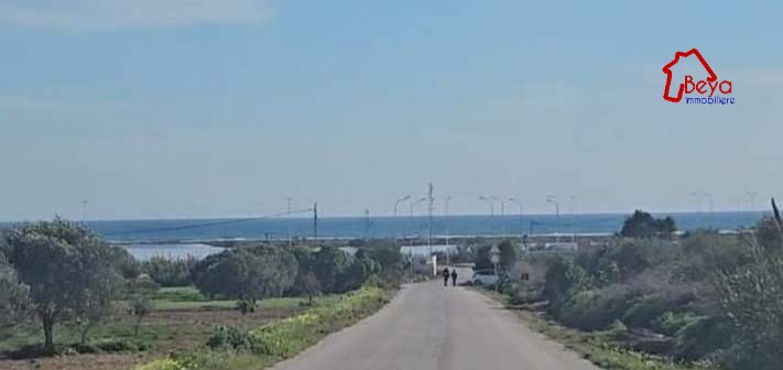 Korba&nbsp;Tazarka&nbsp;Terrain&nbsp;Terrain nu&nbsp;Terrain red vtm008