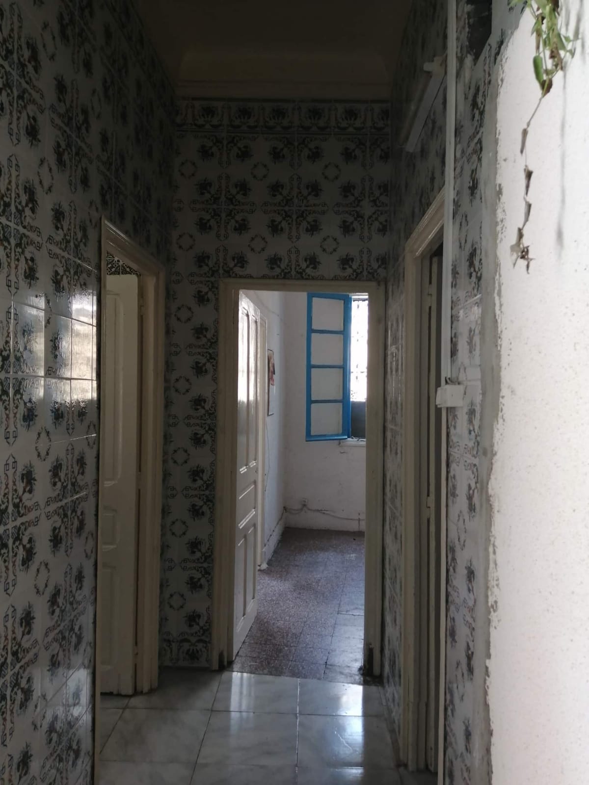 La Medina&nbsp;Bab Djedid&nbsp;Vente&nbsp;Maisons&nbsp;Tunis beb jdid