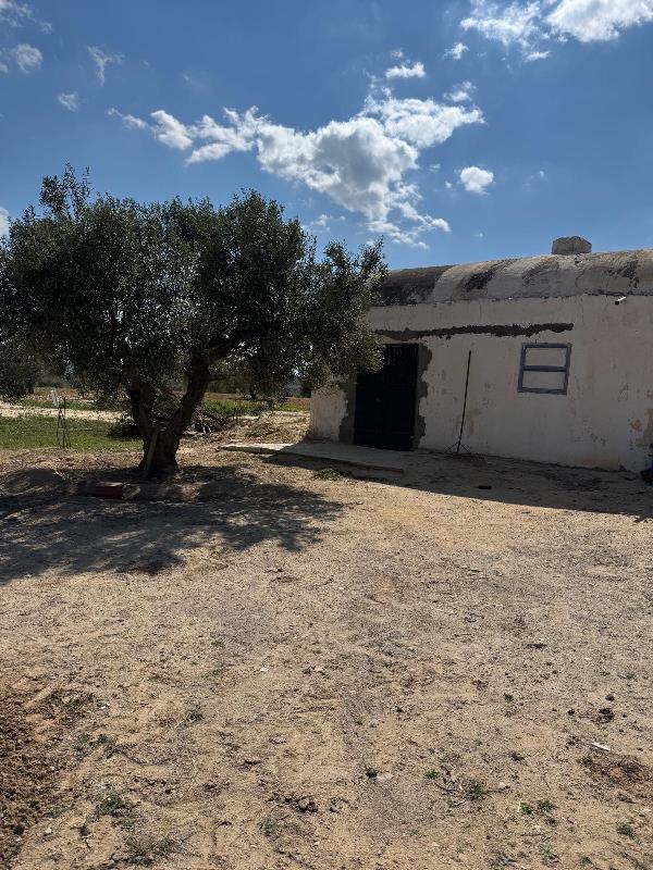 Vente&nbsp;Autre - Tunisie
