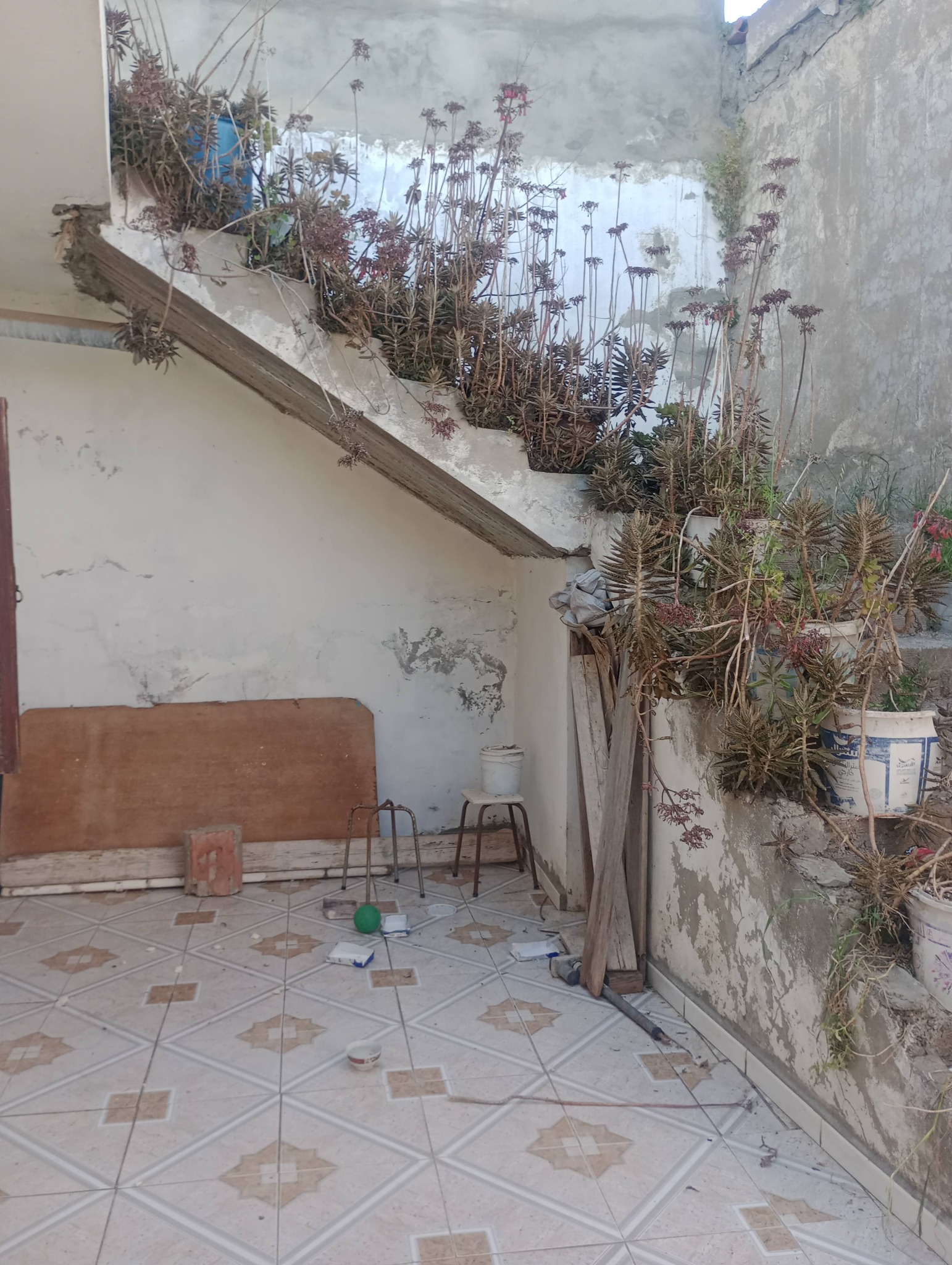 Vente Maisons - Tunisie