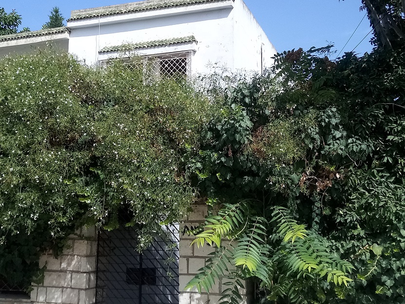 Le Bardo&nbsp;Le Bardo&nbsp;Vente&nbsp;Maisons&nbsp;Maison s plus 3 � bardo