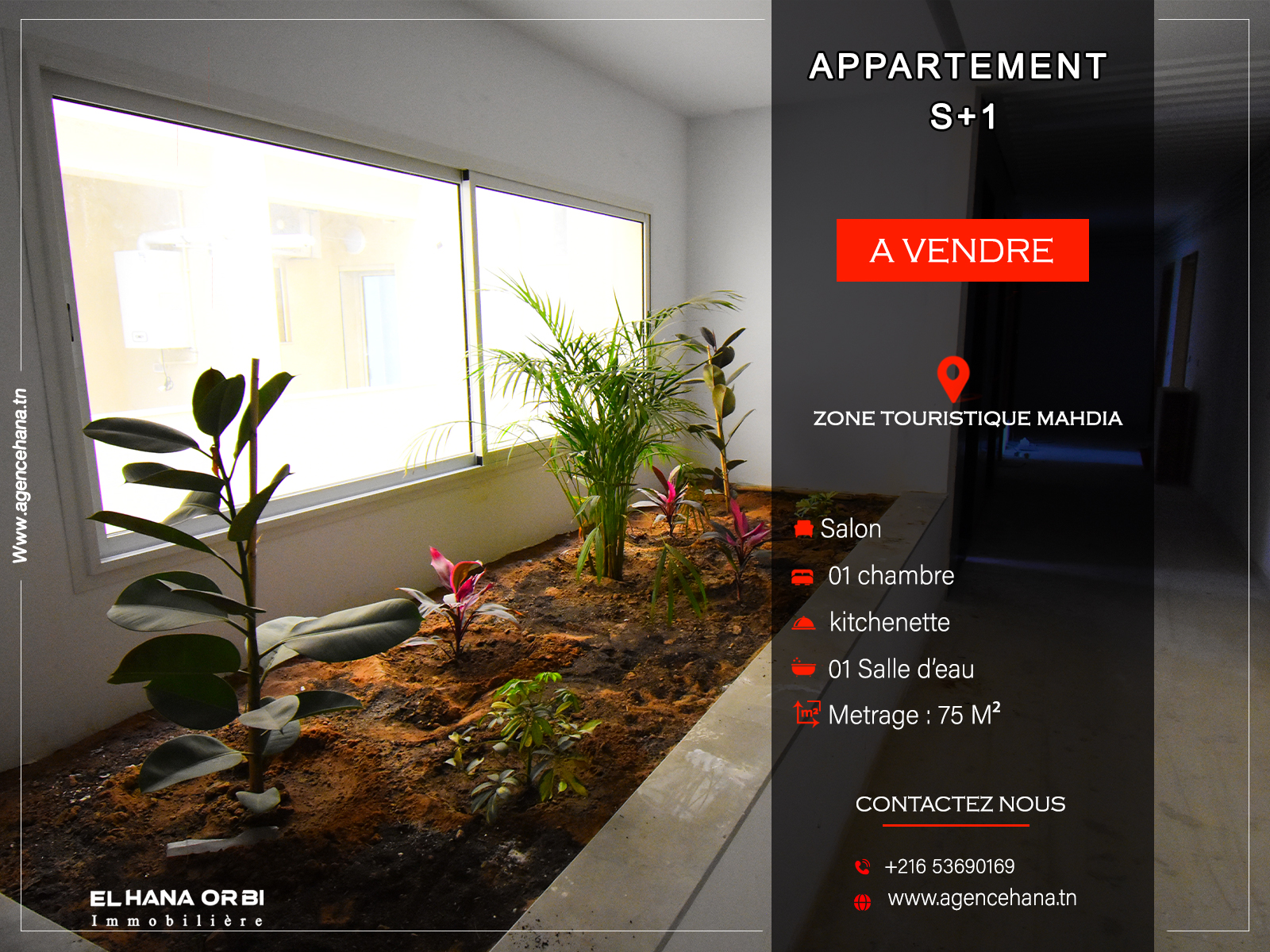 Mahdia&nbsp;Mahdia&nbsp;Vente&nbsp;Appart. 1 pi�ce&nbsp;S1 avec piscine directement promoteur � mahdia