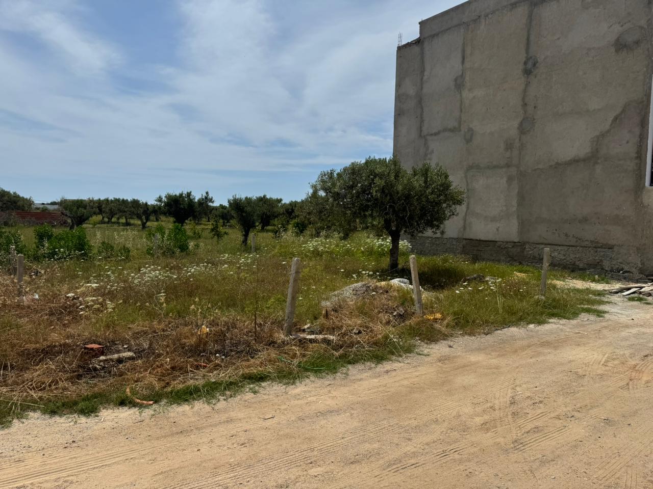 Hammamet&nbsp;Hammamet&nbsp;Terrain&nbsp;Terrain nu&nbsp;Terrain parfait