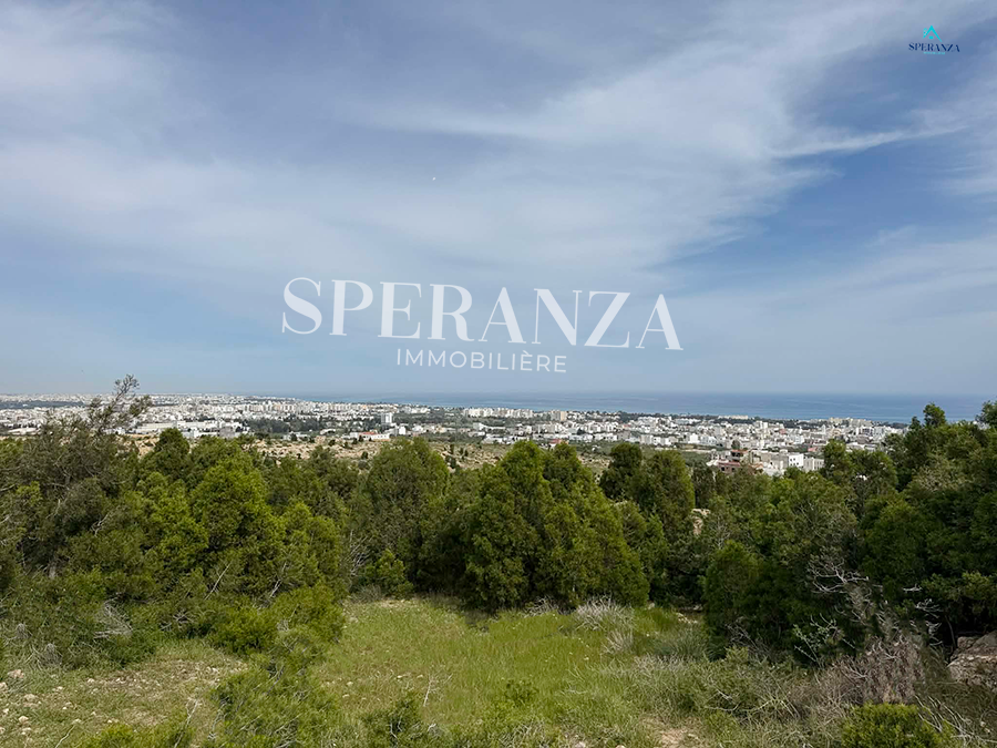 Hammamet&nbsp;Hammamet&nbsp;Vente&nbsp;Surfaces&nbsp;Terrain zac