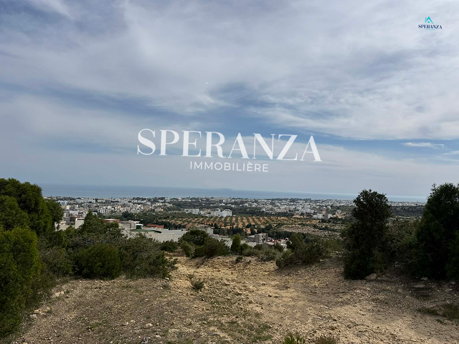 Hammamet&nbsp;Hammamet&nbsp;Vente&nbsp;Surfaces&nbsp;Terrain zac