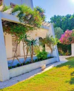 Vente&nbsp;Maisons - Tunisie