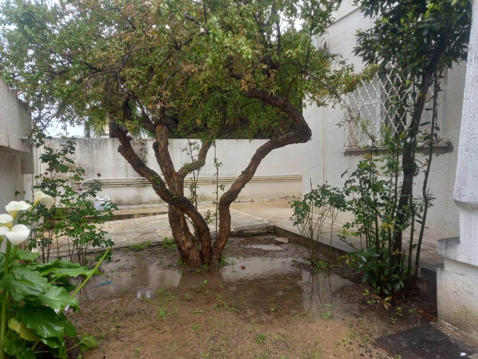 El Menzah&nbsp;El Menzah 9&nbsp;Location&nbsp;Maisons&nbsp;�tage de villa pour usage bureautique