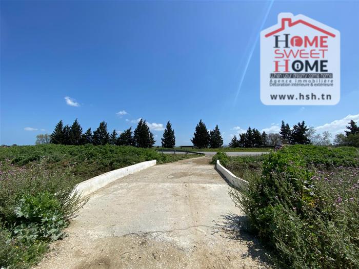 Vente Autre - Tunisie