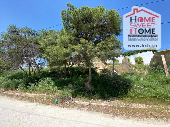 Vente&nbsp;Autre - Tunisie