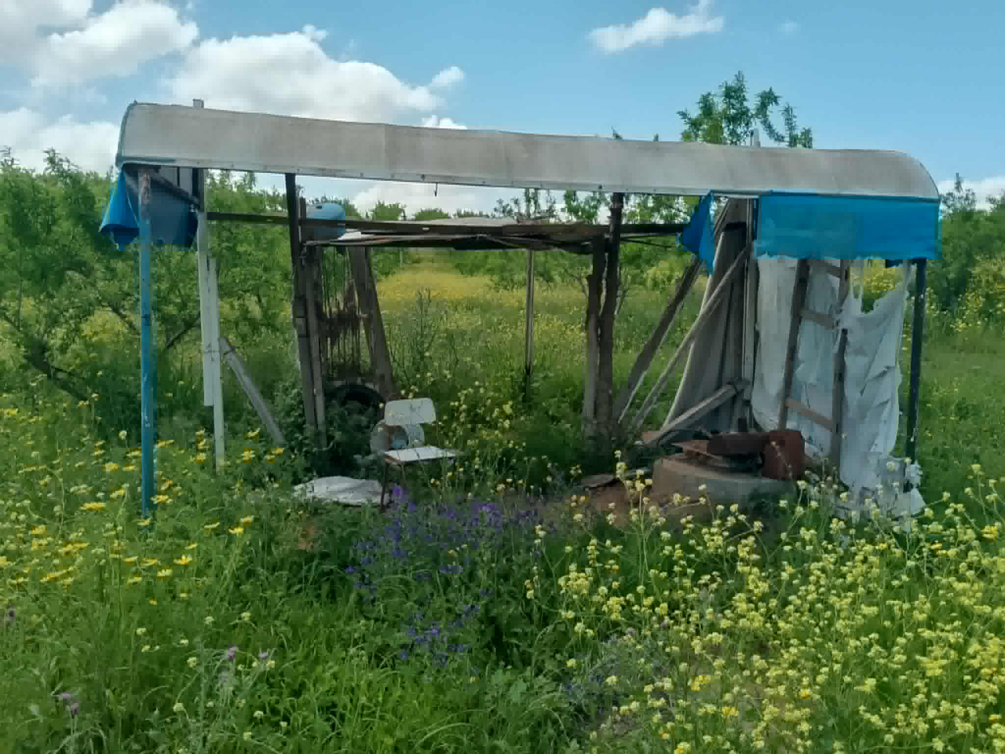 Jedaida&nbsp;Chaouat&nbsp;Vente&nbsp;Surfaces&nbsp;Terrain agricole avec amandiers