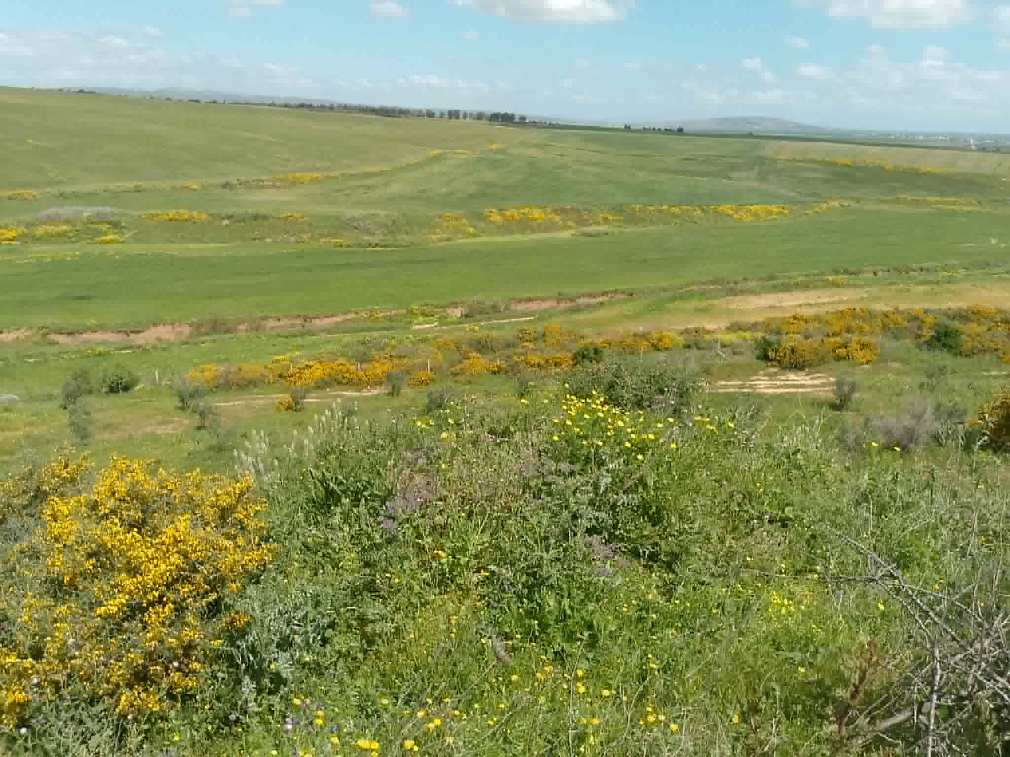 Vente&nbsp;Surfaces - Tunisie