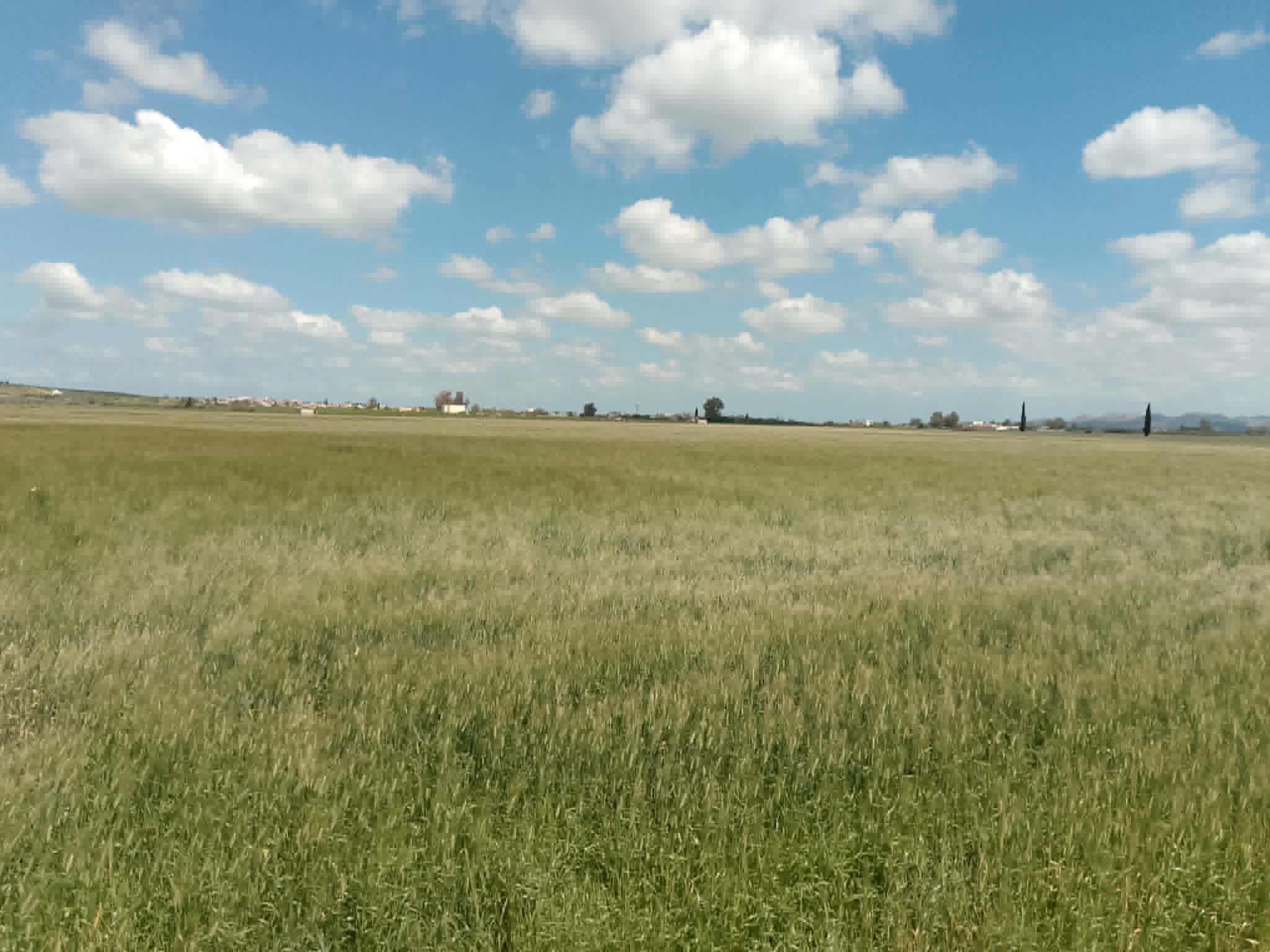 El Menzah&nbsp;El Manar 2&nbsp;Vente&nbsp;Surfaces&nbsp;Opportunit� d investissement � ne pas rater