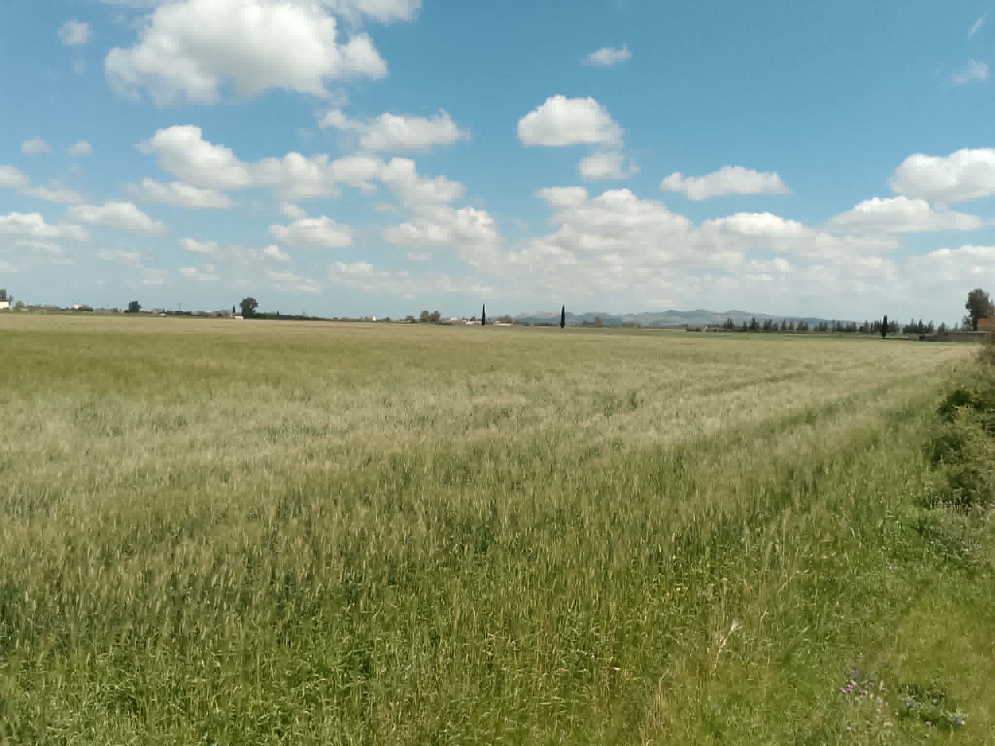 Vente&nbsp;Surfaces - Tunisie