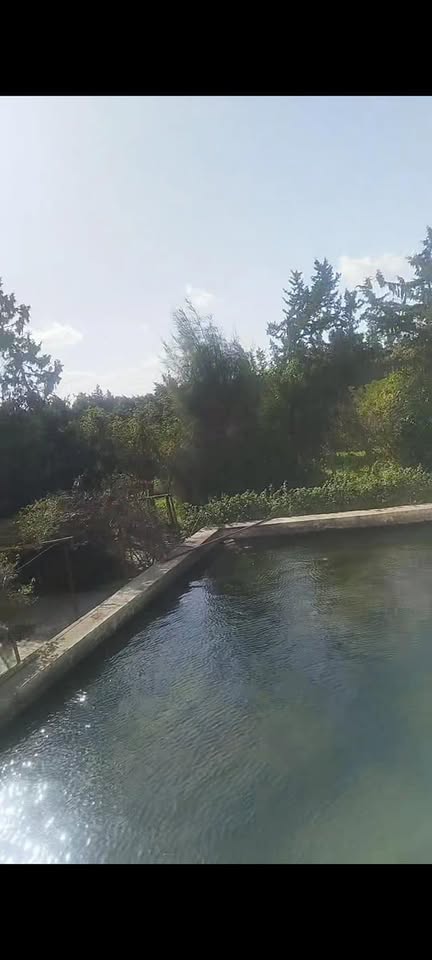 Soliman&nbsp;Soliman&nbsp;Vente&nbsp;Surfaces&nbsp;Une  ferme