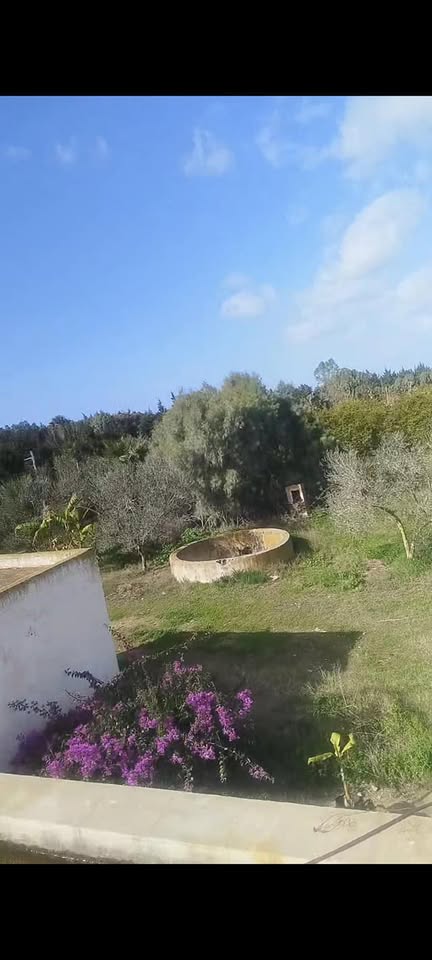 Soliman&nbsp;Soliman&nbsp;Vente&nbsp;Surfaces&nbsp;Une  ferme