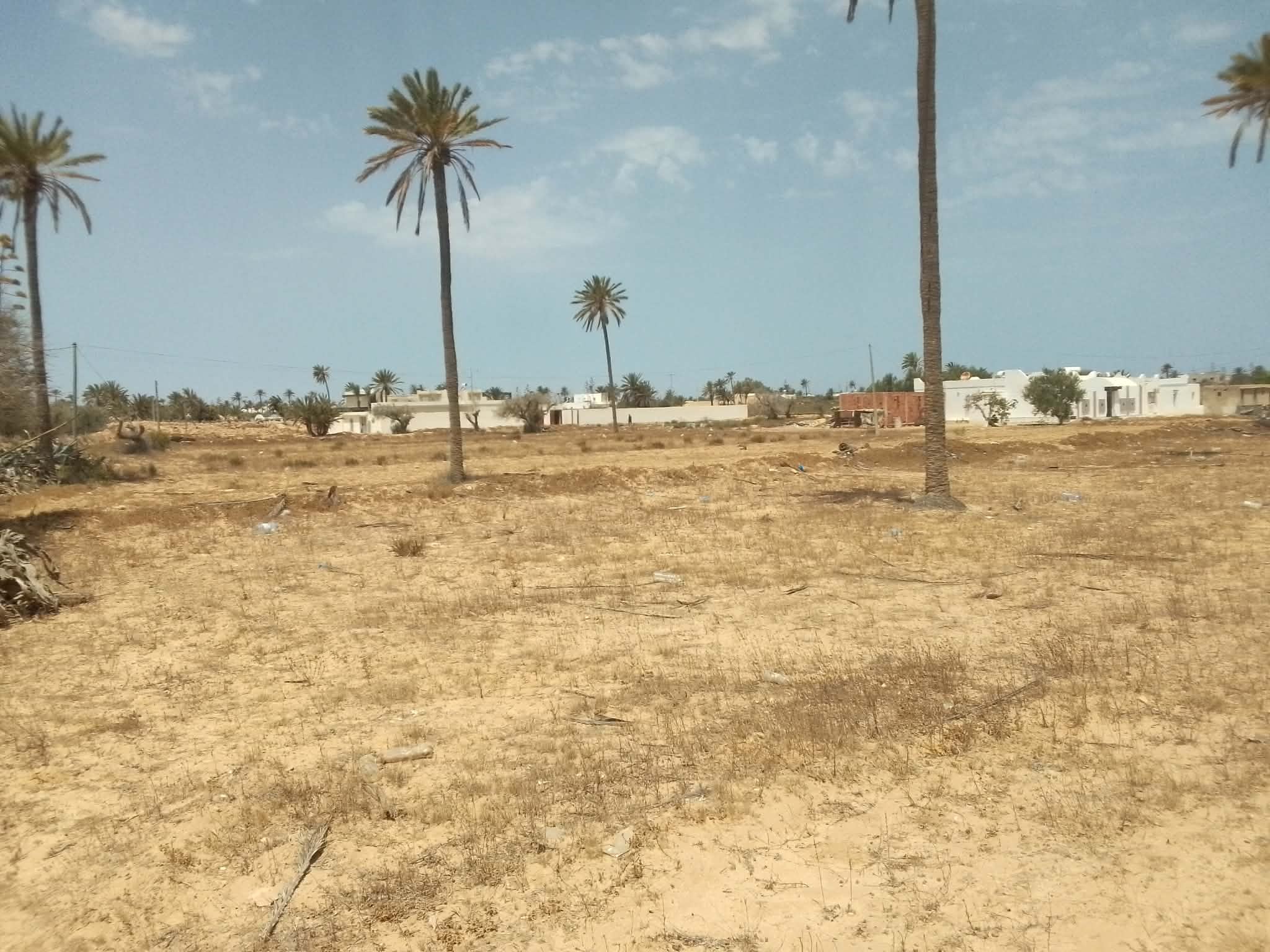 Djerba - Midoun&nbsp;Midoun&nbsp;Vente&nbsp;Surfaces&nbsp;Tr�s jolie lot de terrain nu a jerba midoun