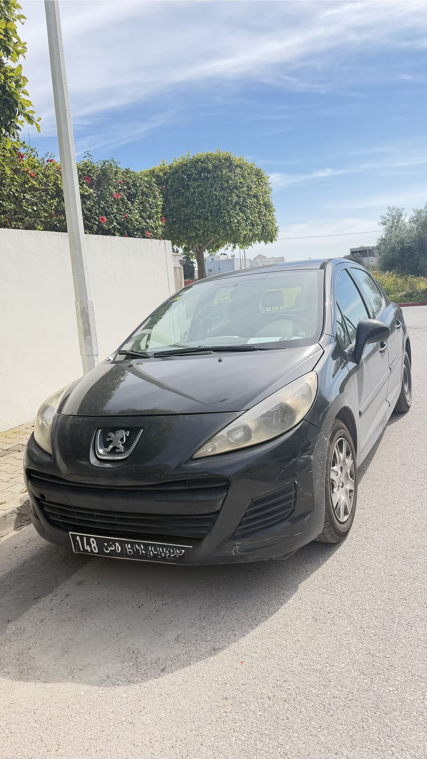 Ariana Ville&nbsp;Cite Ennasr 2&nbsp;Peugeot&nbsp;207&nbsp;Peugeot 27