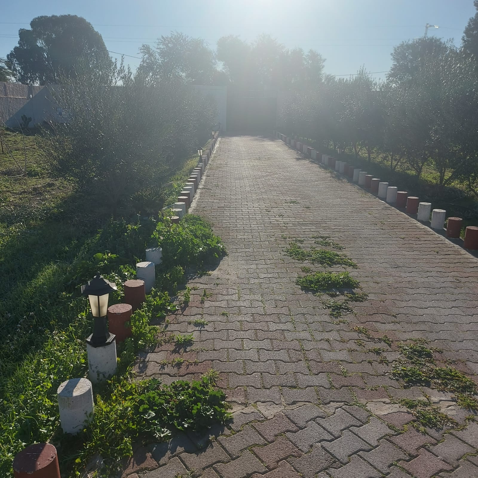 Vente&nbsp;Maisons - Tunisie