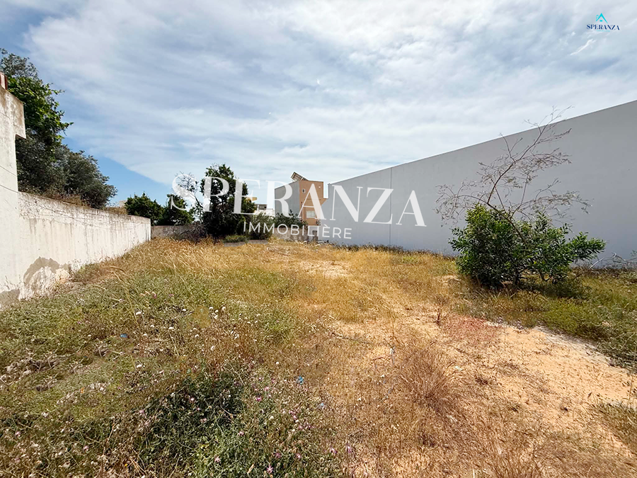 Hammamet&nbsp;Hammamet&nbsp;Vente&nbsp;Surfaces&nbsp;Terrain olivaire