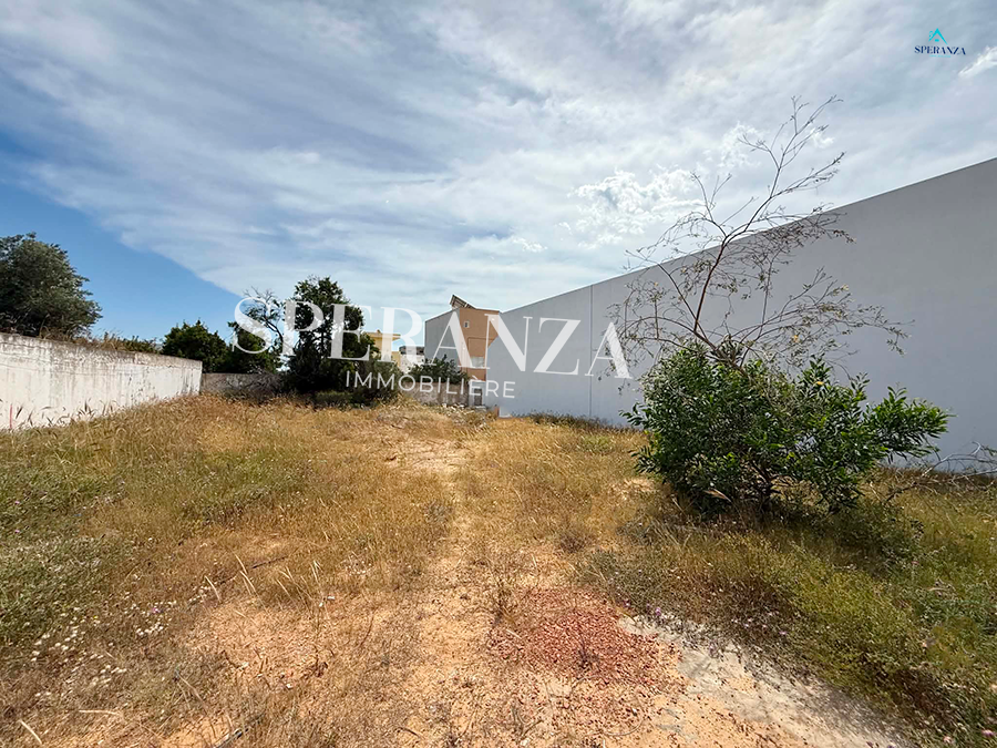 Vente&nbsp;Surfaces - Tunisie