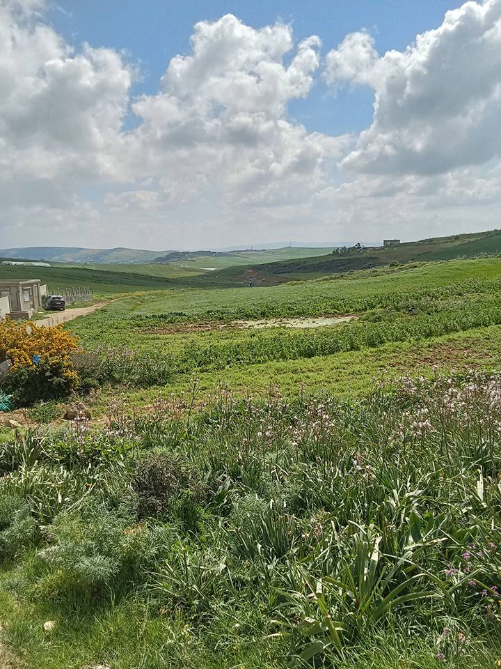 Bizerte Nord&nbsp;Bizerte&nbsp;Vente&nbsp;Surfaces&nbsp;Terrain agricole a bechateur