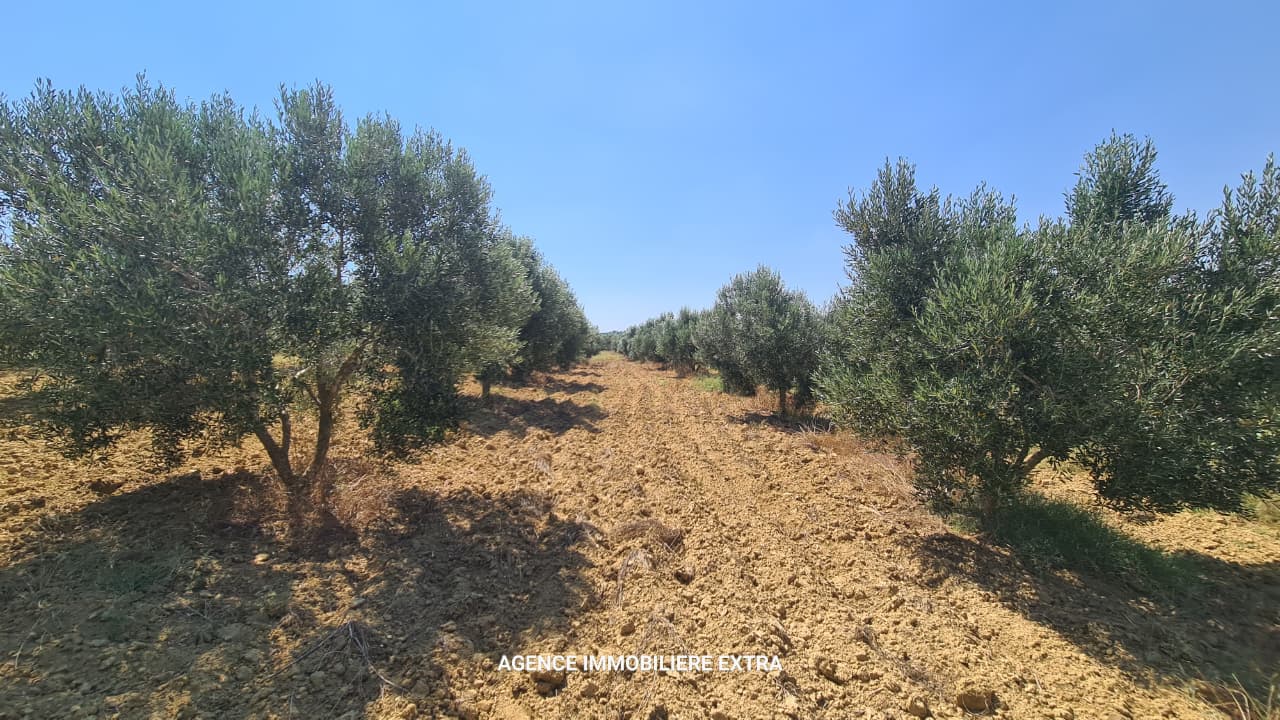 Nabeul&nbsp;Nabeul&nbsp;Vente&nbsp;Maisons&nbsp;Comapagne a boushem nabeul
