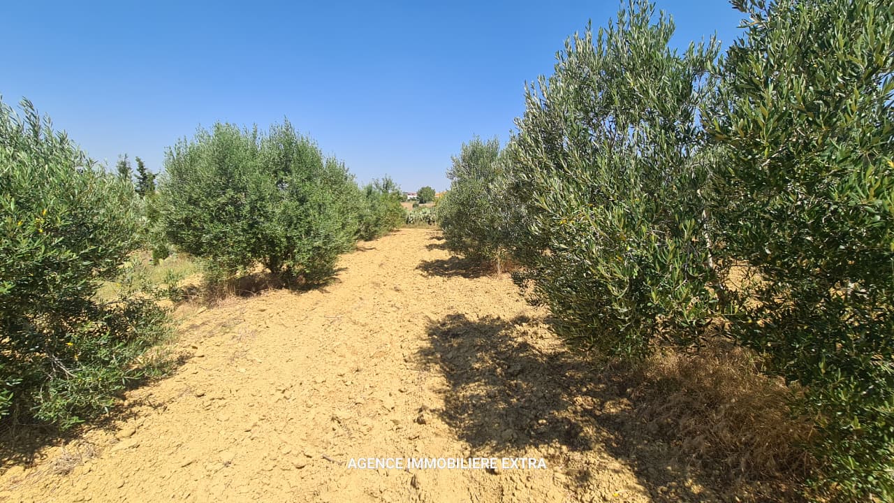 Nabeul&nbsp;Nabeul&nbsp;Vente&nbsp;Maisons&nbsp;Comapagne a boushem nabeul