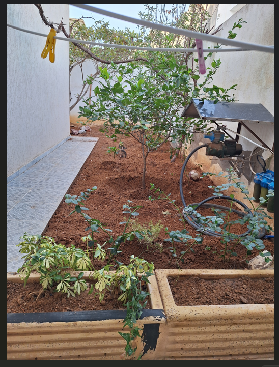 Raoued&nbsp;Cite Ennkhilet&nbsp;Vente&nbsp;Maisons&nbsp;Maison r et deux �tages