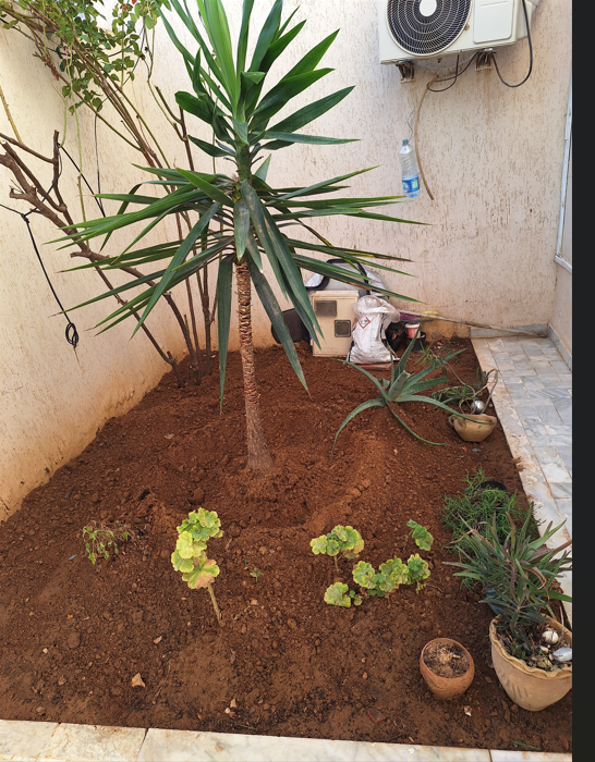 Raoued&nbsp;Cite Ennkhilet&nbsp;Vente&nbsp;Maisons&nbsp;Maison r et deux �tages