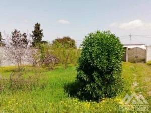 Sidi Thabet&nbsp;Sidi Thabet&nbsp;Vente&nbsp;Maisons&nbsp;Villa s4 bejaoua 2 ref361a