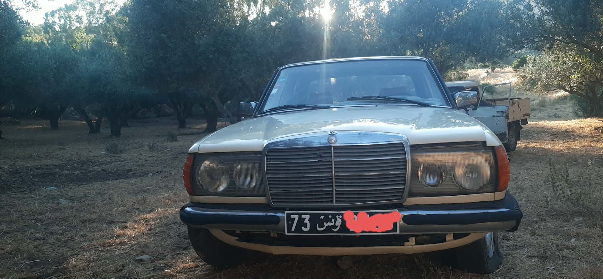 Bou Salem&nbsp;Bou Salem&nbsp;Mercedes&nbsp;240&nbsp;Mercedes 240d