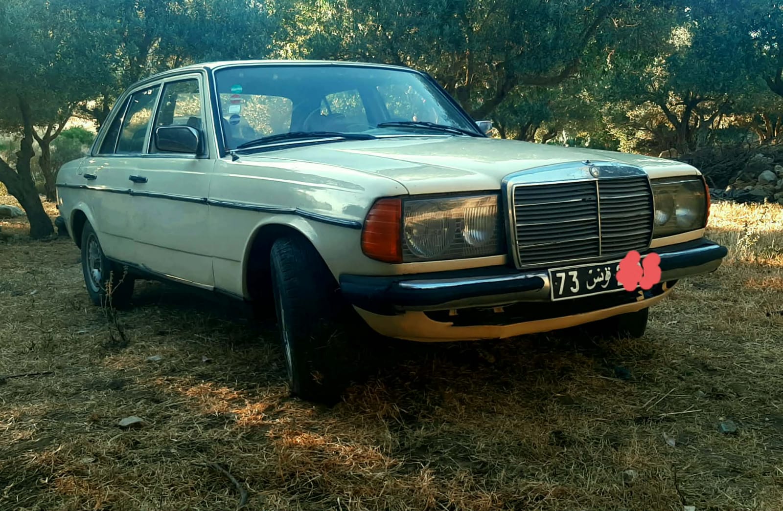 Bou Salem&nbsp;Bou Salem&nbsp;Mercedes&nbsp;240&nbsp;Mercedes 240d