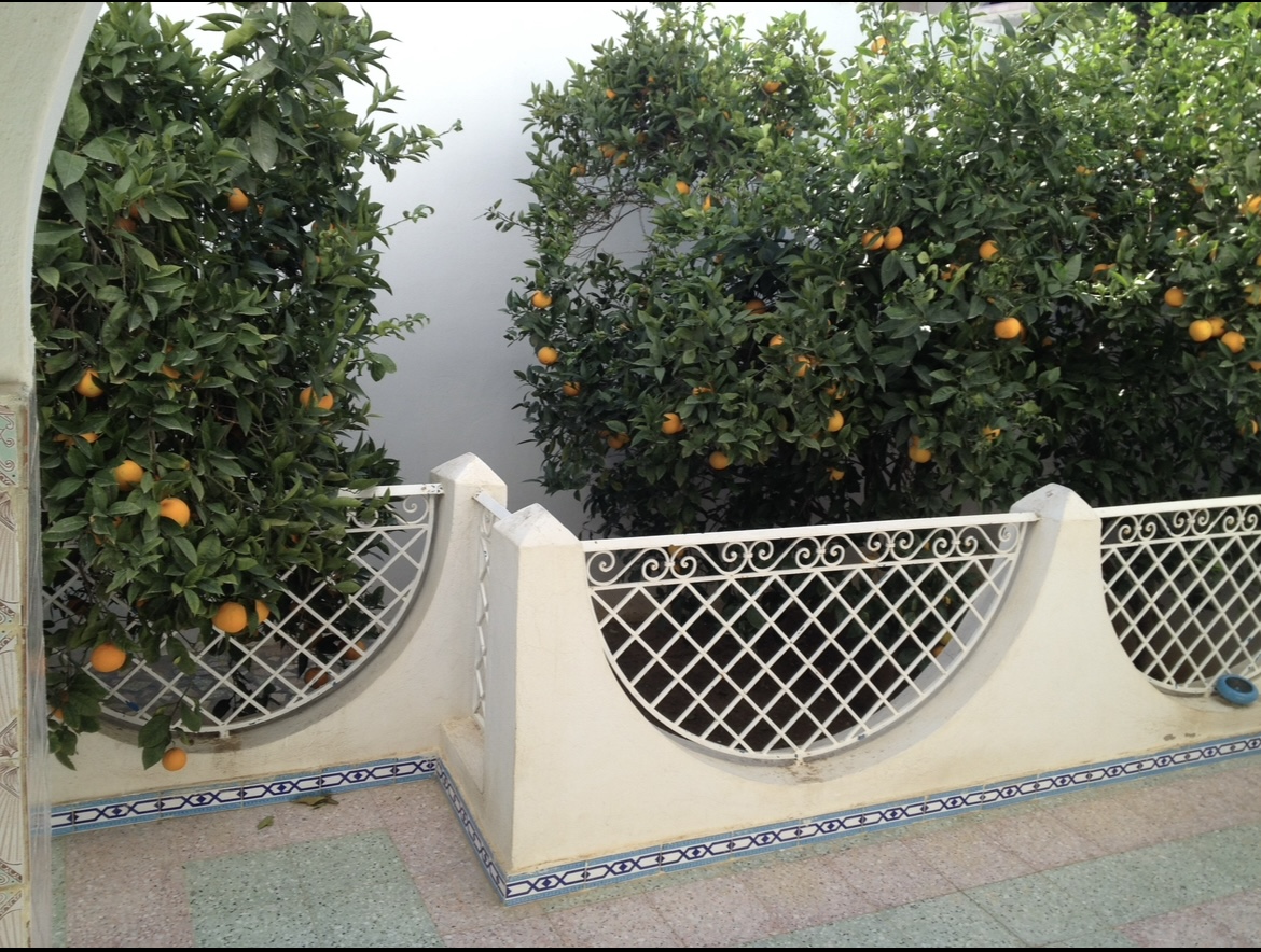 Vente&nbsp;Maisons - Tunisie