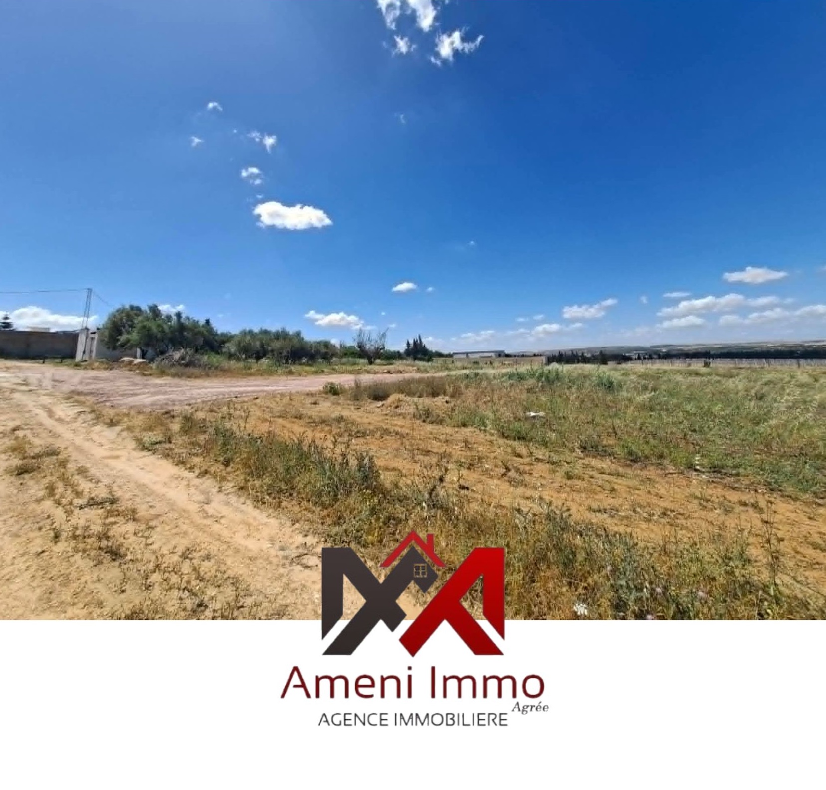Ben Arous&nbsp;Ben Arous&nbsp;Vente&nbsp;Autre&nbsp;Un lot de terrain nu � el khelidia