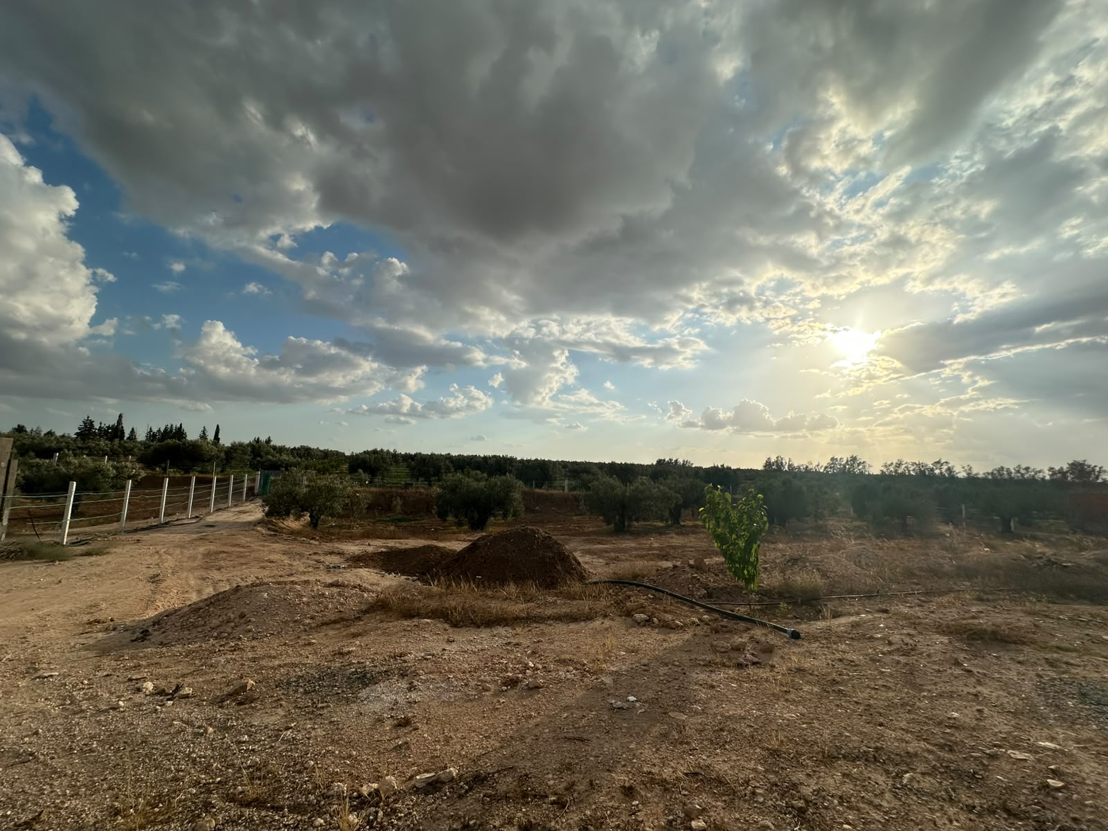 Kalaa El Kebira&nbsp;Kalaa El Kebira&nbsp;Terrain&nbsp;Terrain agricole&nbsp;Terrain agricole prix attractif