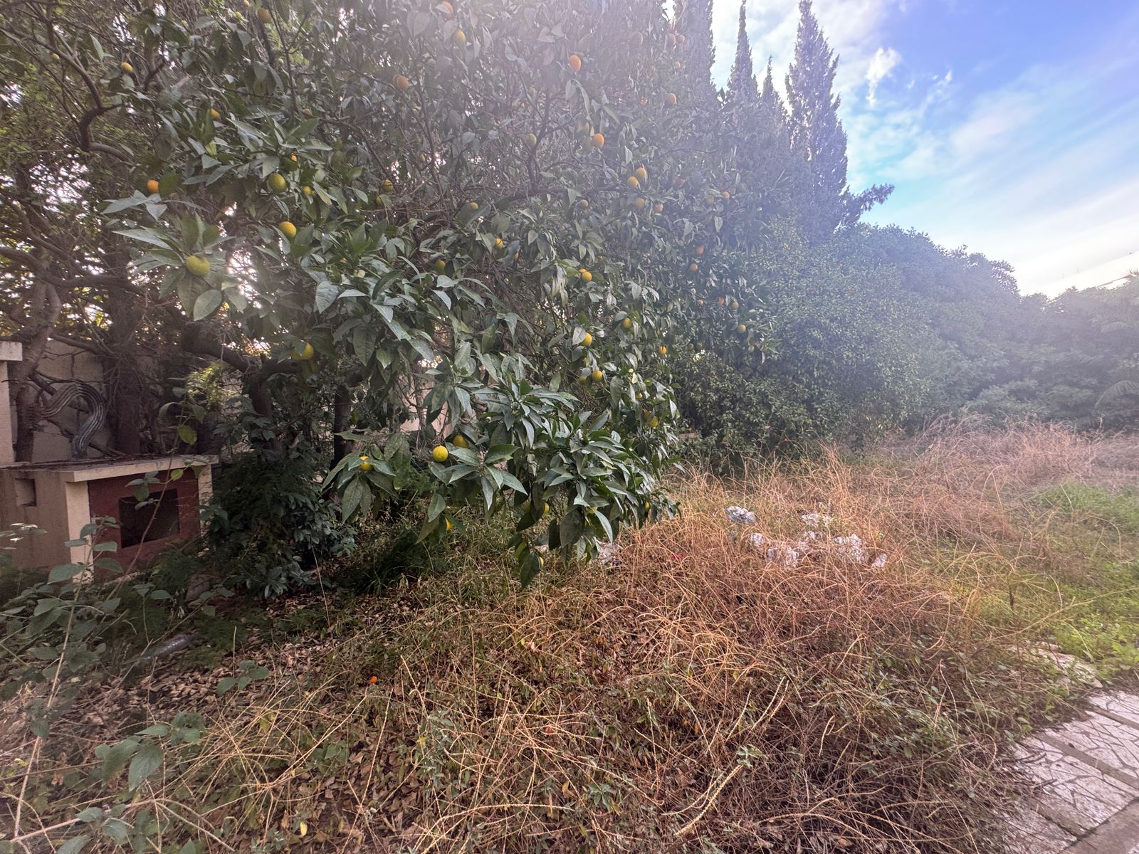 El Menzah&nbsp;El Menzah 1&nbsp;Vente&nbsp;Maisons&nbsp;Villa de coin avec grand potentiel � menzah 1