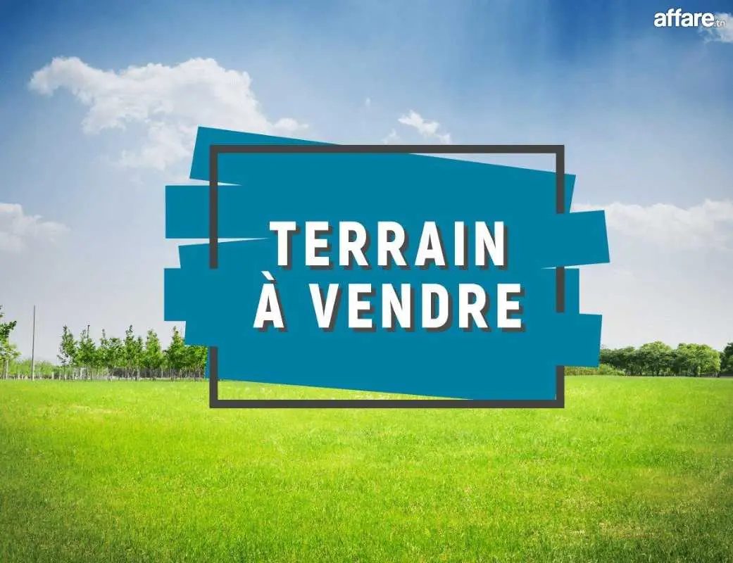 Vente&nbsp;Surfaces - Tunisie